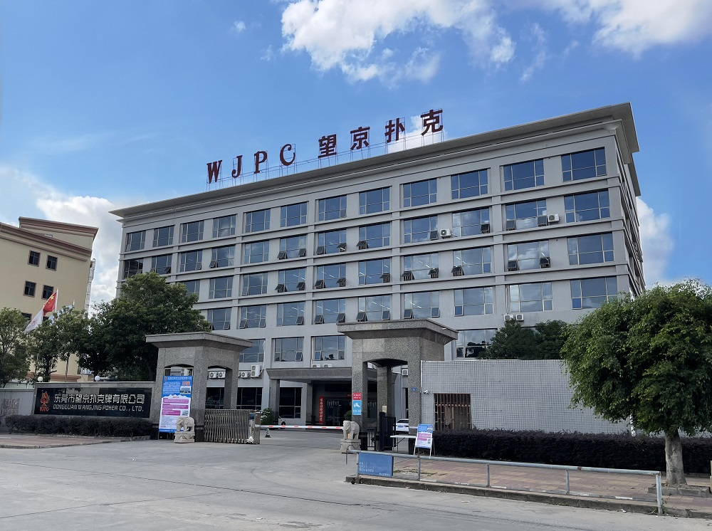 司：以创新与实力引领卡牌行业发展瓦力棋牌广东望京卡牌科技有限公(图6)